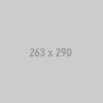 263×290