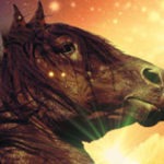 Gala of Horses Thumb